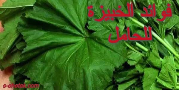 فوائد الخبيزة للحامل