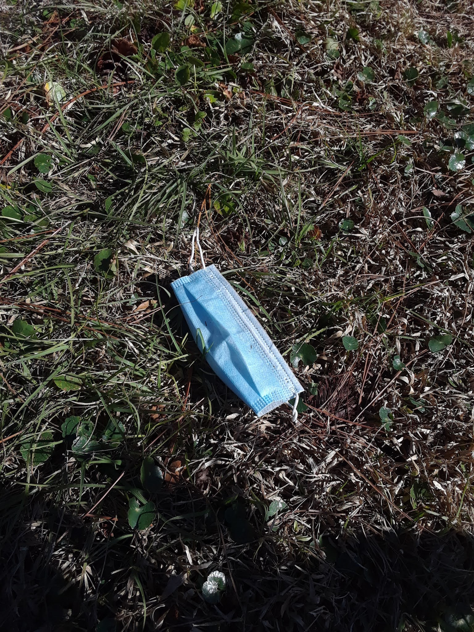 West Augustine Nature Society Disposable Does Not Mean Dispose Of In Nature Please Help Us