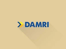 Logo DAMRI_237 design