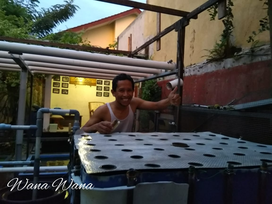 Wana Wana Sistem Tanam Pasang Surut Tanpa Media Kerikil