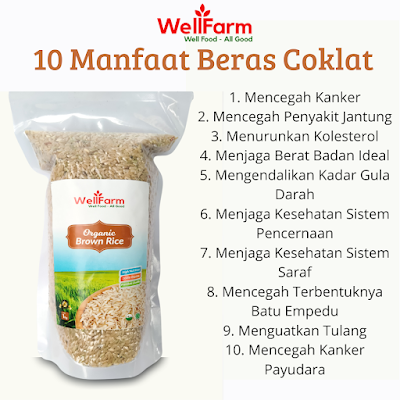 manfaat beras coklat organik