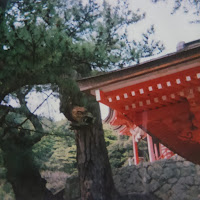 日御碕神社の写真