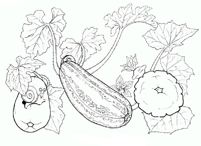 Mewarnai Gambar sayuran