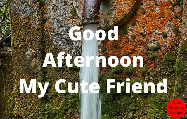 good afternoon wish sms good afternoon wish sms