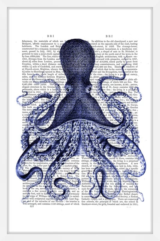 Blue Octopus Print in White Frame