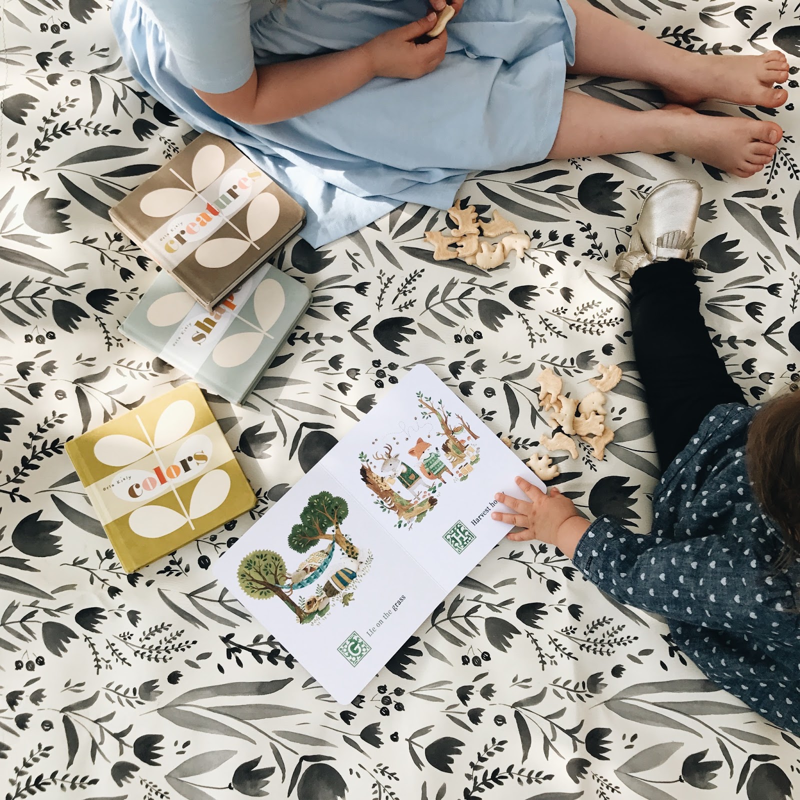 Little Blessed Nest Gossip 81 - f5wzbdc