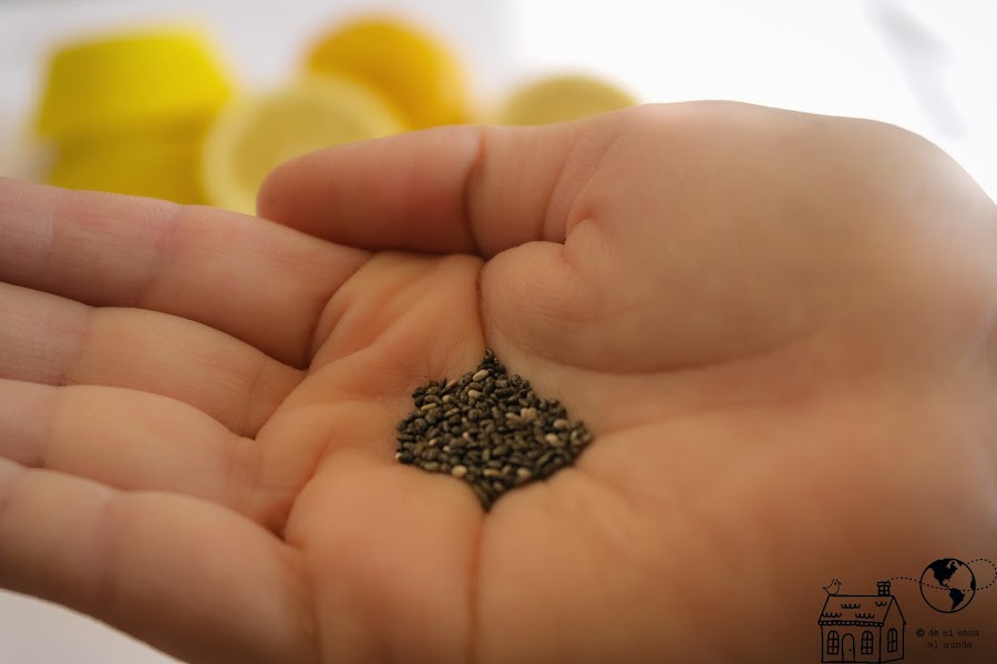 semillas de chía