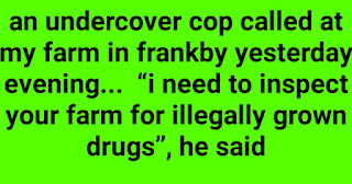 An undercover cop called at my farm in Frankby yesterday evening...  “I need to inspect your farm for illegally grown drugs”, he said.    “By all means officer, just don’t go in that field over there”, I replied.    The cop exploded, saying “Do you know who the fuck I am?! I have the authority of the government with me!”, he shouted before pulling a badge out of his back pocket, “Do you see this fucking badge?! This badge means I can do what I want and I’ll go wherever the fuck I want, have I made myself clear?!”    I nodded politely, apologised, and went about my work. A short while later, I hear loud screams, looked up and saw the cop running for his life being chased by my angry bull. With each step, the bull was gaining ground and he seemed sure to be gored before he reached safety. The officer looked terrified and continued to run for his life.    I threw down my tools, immediately ran to the edge of the fence and shouted at the top of my lungs,    “Your badge, show him your fucking badge!”