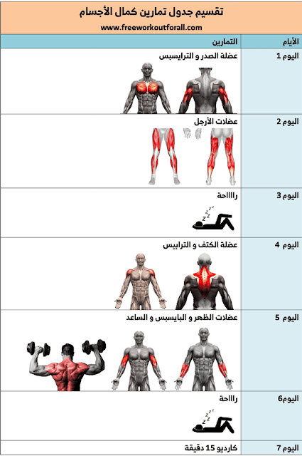 جدول تمارين كمال الاجسام