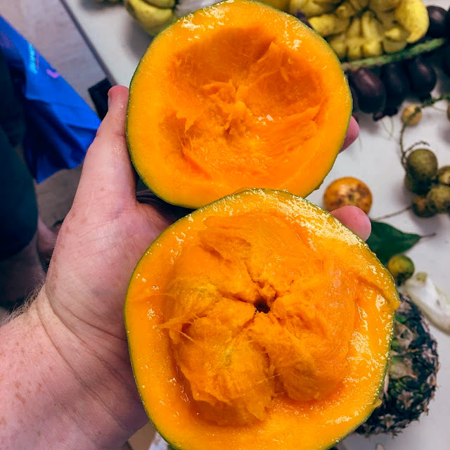 El zapote, fruta tropical que aporta muchos beneficios a la salud