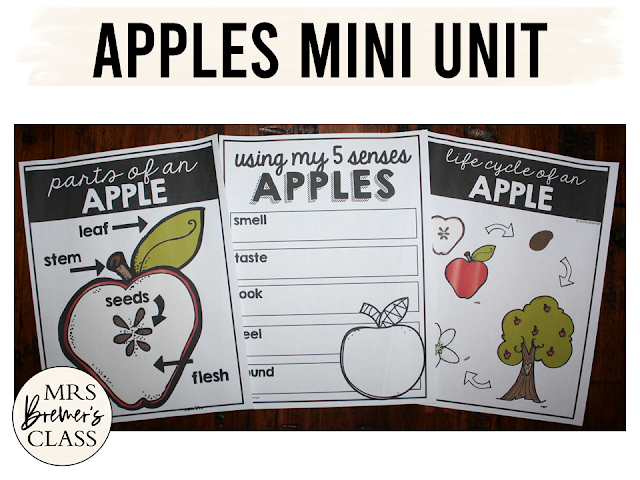 All About Johnny Appleseed and Apples! Perfect activities for the fall season. This educational unit is filled with informational learning charts, graphic organizers, anchor chart headers, and student response pages. It’s fun to learn about Johnny Appleseed and apples during the fall season! Students will enjoy the legend and story behind Johnny Appleseed, and will love to learn the life cycle of a fall favorite…apples!