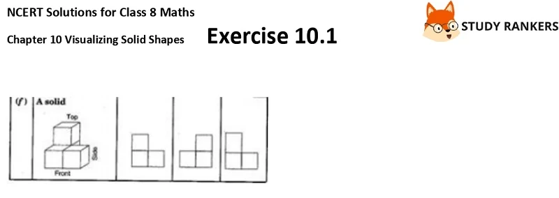 NCERT Solutions for Class 8 Maths Ch 10 Visualizing Solid Shapes Exercise 10.1 5