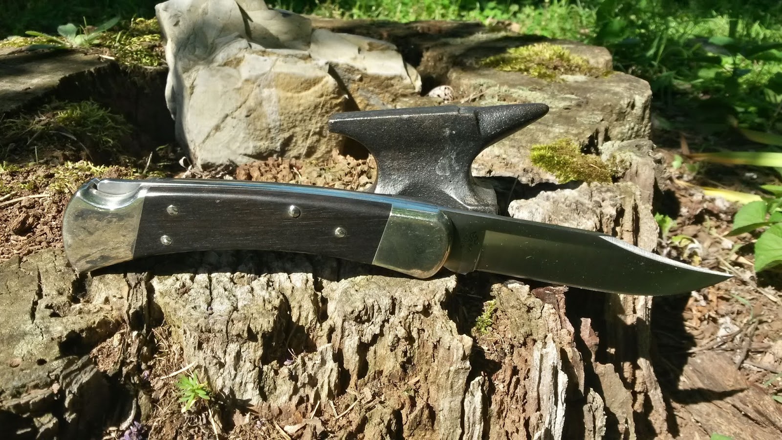 Buck110EbonyS45VN%2B06.jpg