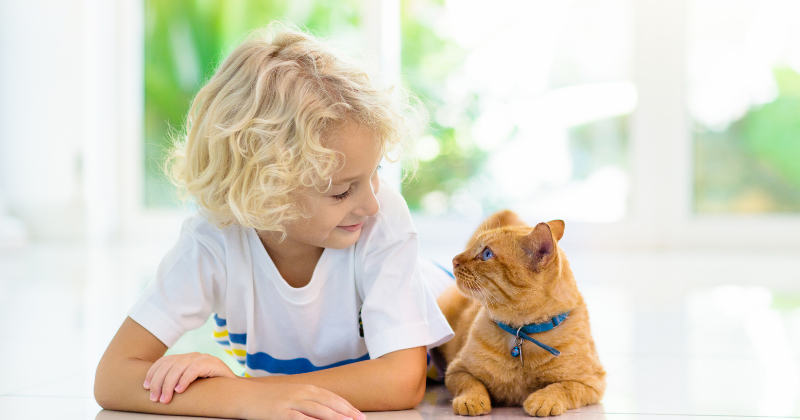 Pet Activities for Kids with a FREE Printable Activity Guide | Sunny ...