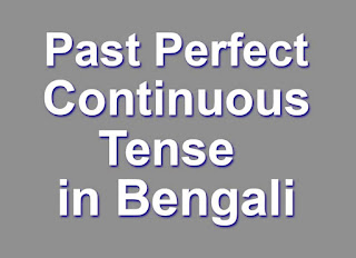 Past Perfect Continuous Tense in Bengali