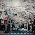 Istilah Pulang Kampung Dalam Bahasa Jepang