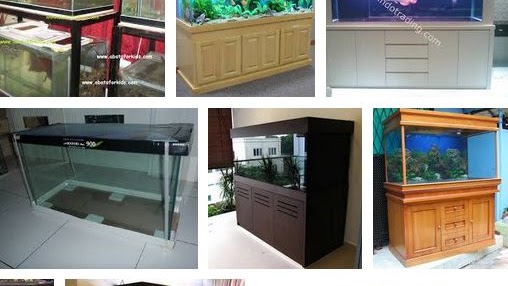 Harga Aquarium Untuk Ikan Arwana