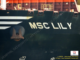 MSC Lily