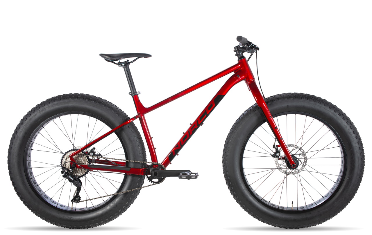 budget fat bike