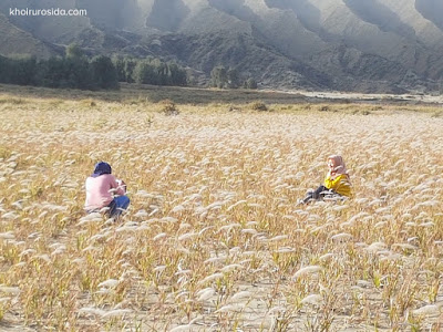 Padang%2BIlalang%2BBromo Eksplor Taman Nasional Bromo Tengger Malang