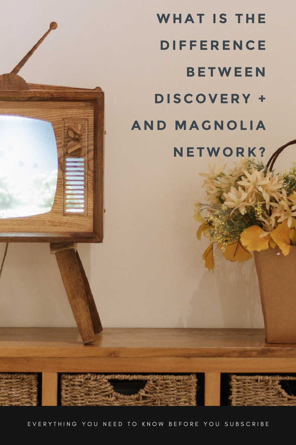 Discovery+ and the New Magnolia Channel Everything You Need to Know