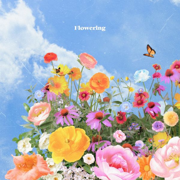 E The – Flowering – Single