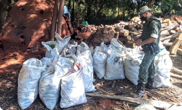 Mais de uma tonelada de carvão vegetal é apreendida durante operação da Polícia Ambiental Mais de uma tonelada de carvão vegetal é apreendida durante operação da Polícia Ambiental