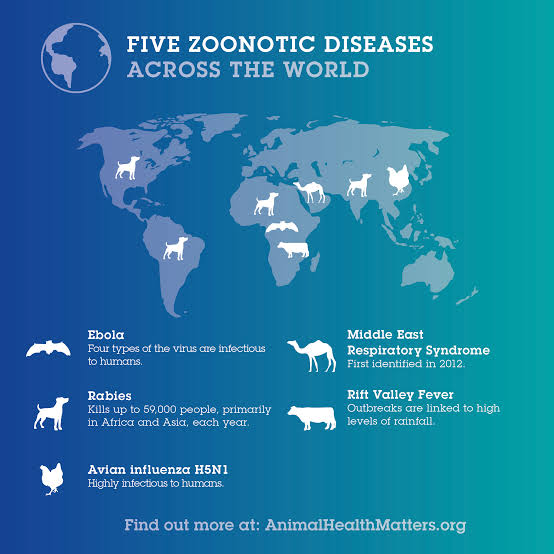 Zoonotic Disease