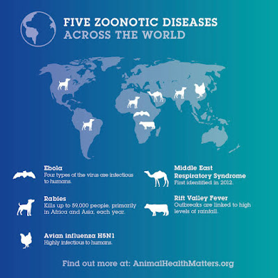 Zoonotic Disease: