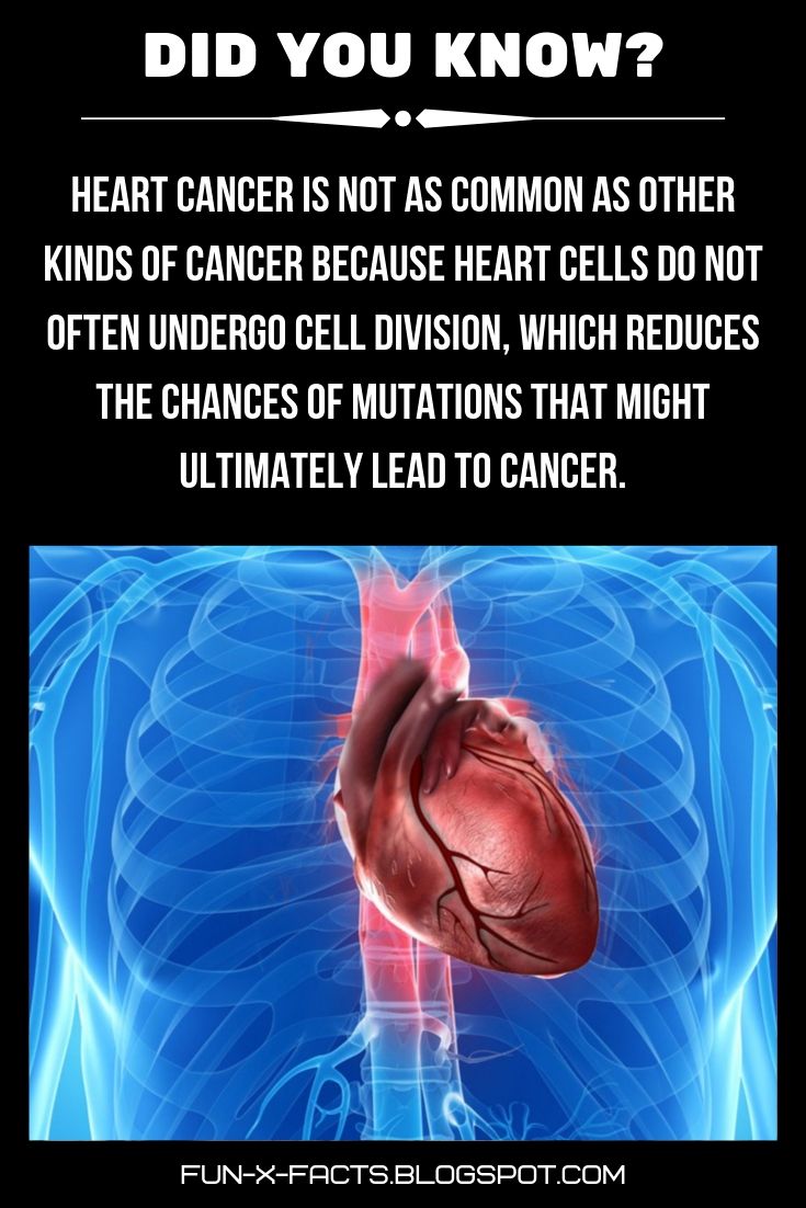 Heart cancer is not as common as other kinds of cancer. Amazing WTF Facts