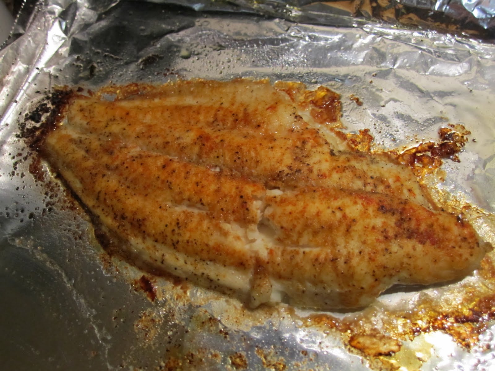 Experiencing Life Together Cajun Baked Catfish