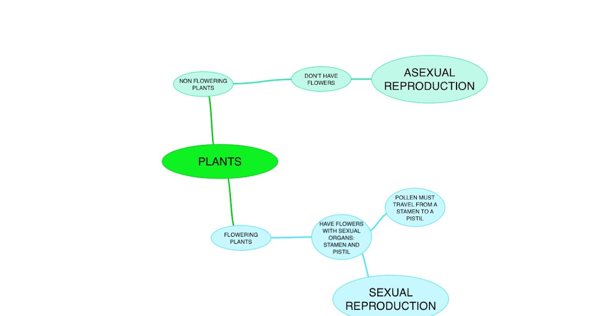 Science4 Sexual And Asexual Reproduction In Plants
