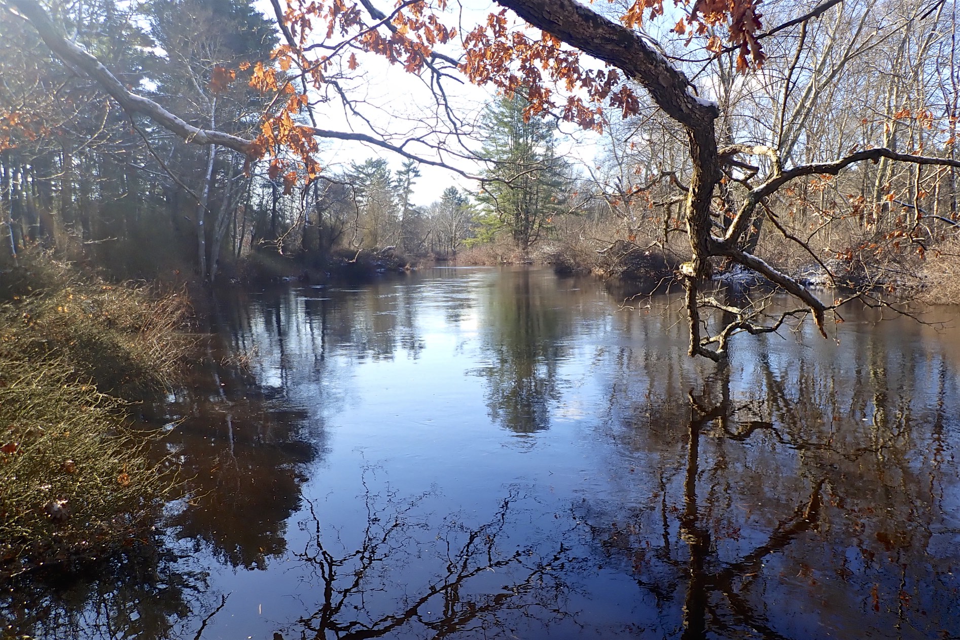 Open Boat, Moving Water A Paddler's Journal Noon Hill and Shattuck