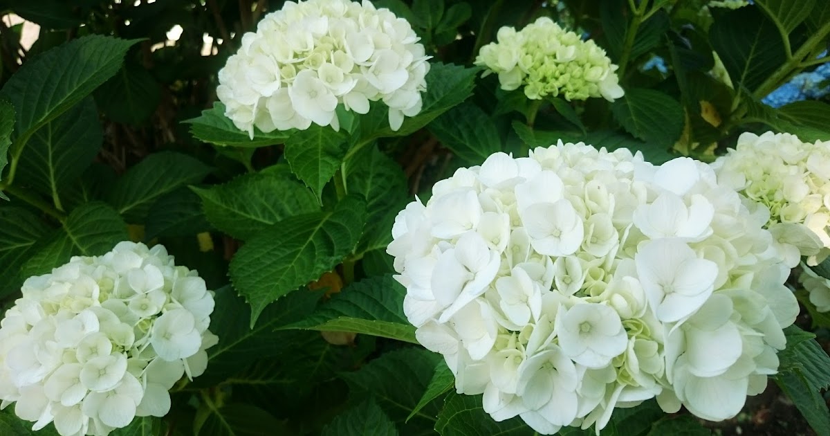 頻繁にセックスすることの非常に興味深い利点