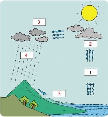 Proses Terjadinya Hujan Kelas 3 Sd Rifanfajrin Com