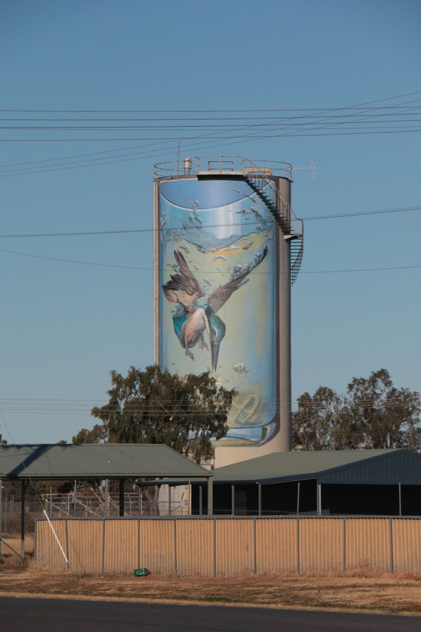 Judy & Brian Tour Oz Gulargambone NSW 16th July 2019