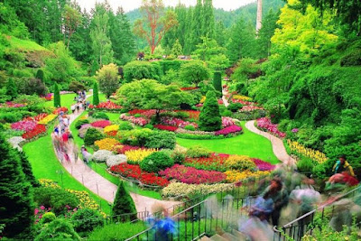 Butchart Gardens