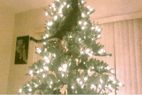 animación gatito juega con árbol de navidad