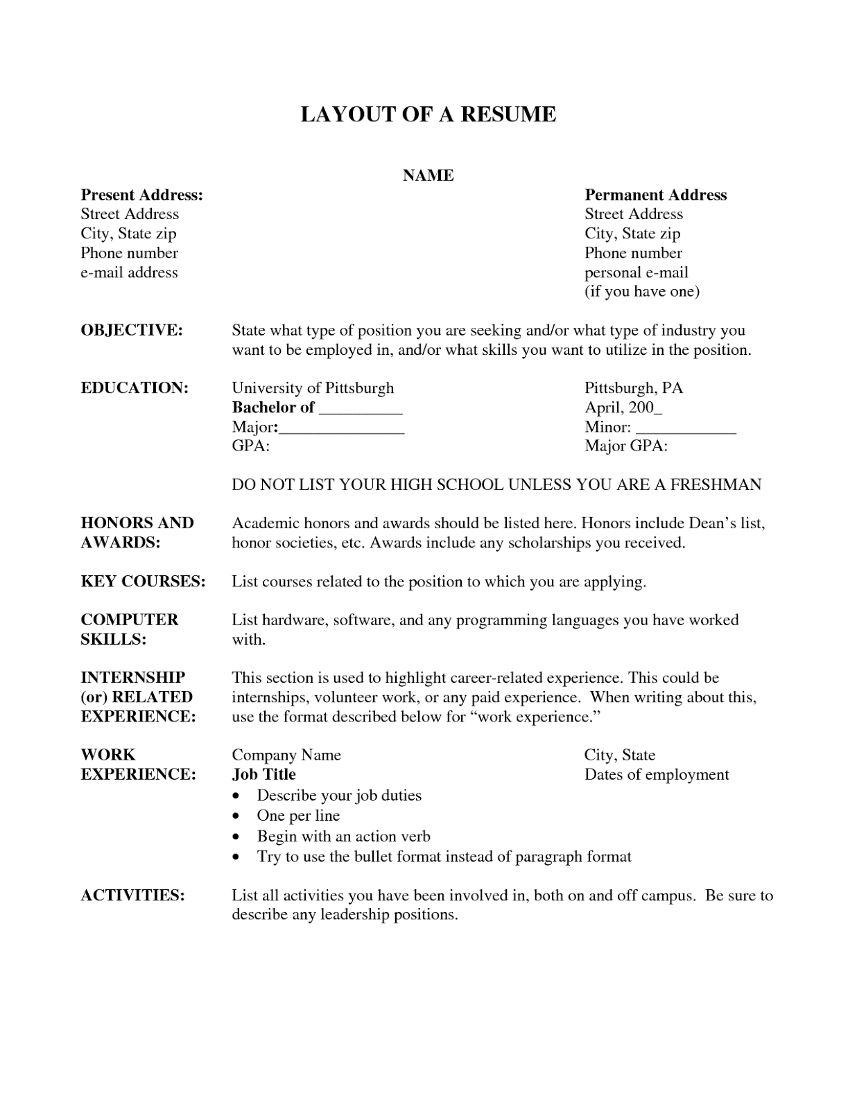 definition of chronological resumes