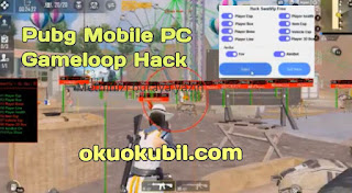 Pubg Mobile PC Gameloop Hack Menu ESP, Aimbot Hilesi Emulator Ücretsiz İndir 2020