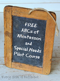 FREE ABCs of Montessori and Special Needs Pilot Course Reopened