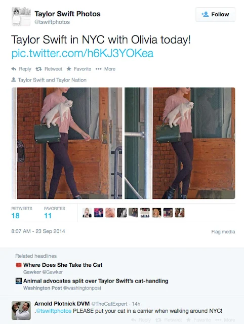 Taylor Swift walks out of her apartment into NYC with her cat under her arm