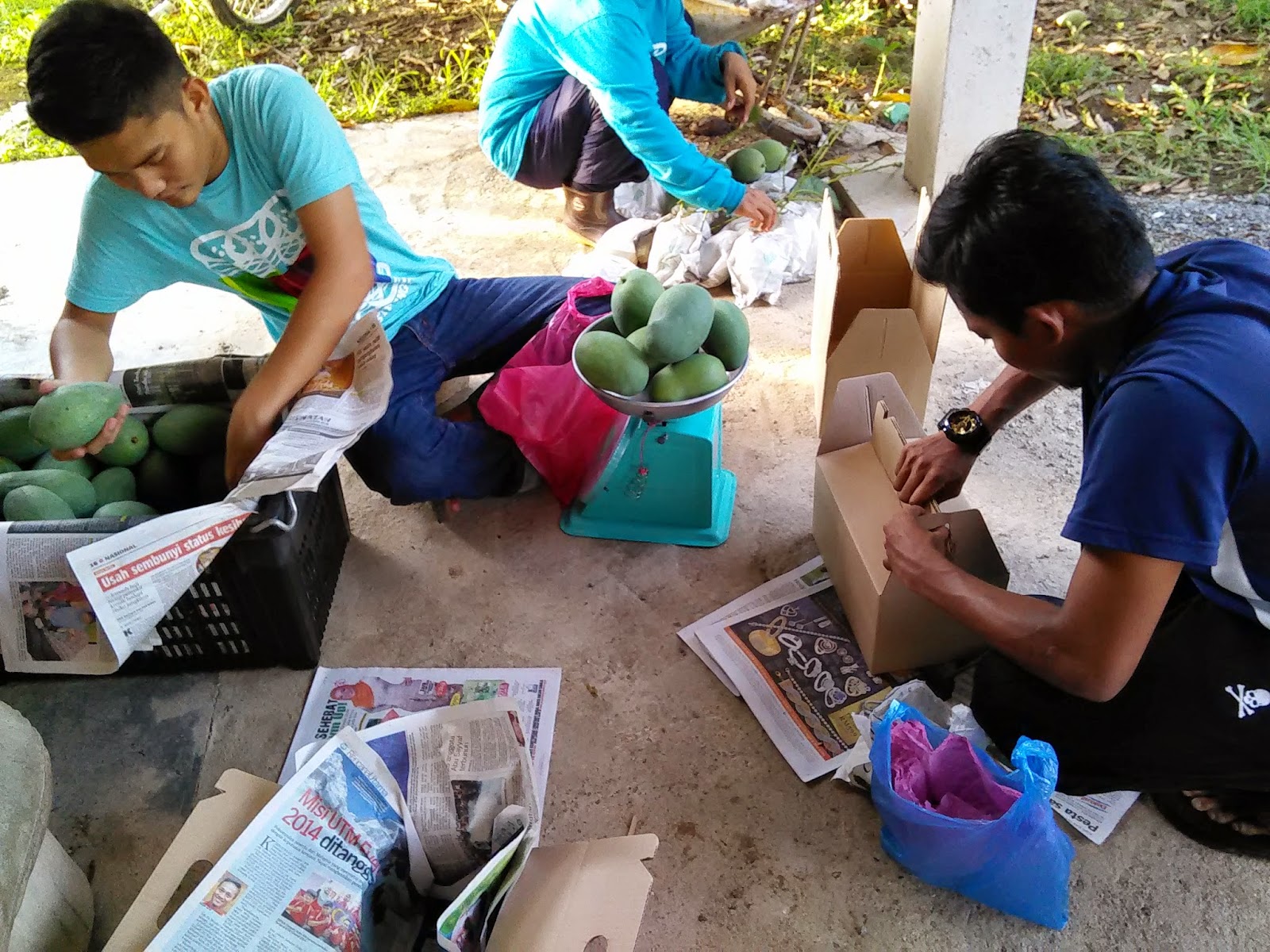 N others. N others. Le labo another 13. туалетная вода the other stories. Other ароматы.