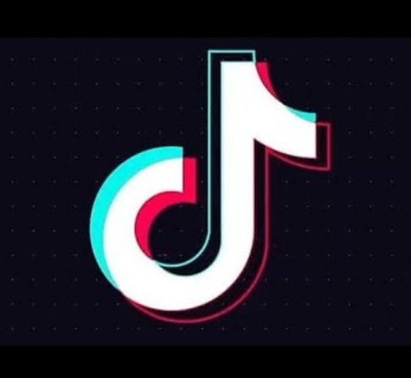 tiktok adulting version apk tiktok adulting version apk