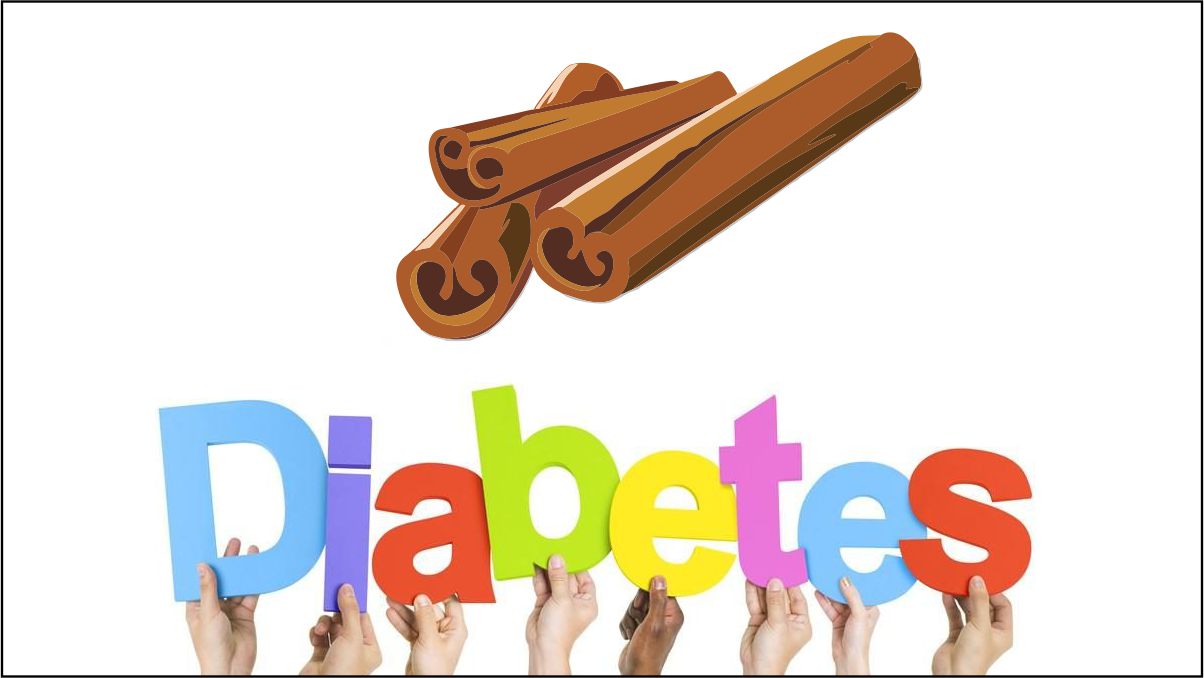 Benefits Of Cinnamon In Marathi दालचीनी चे आयुर्वेदिक फायदे MAYBOLI.IN