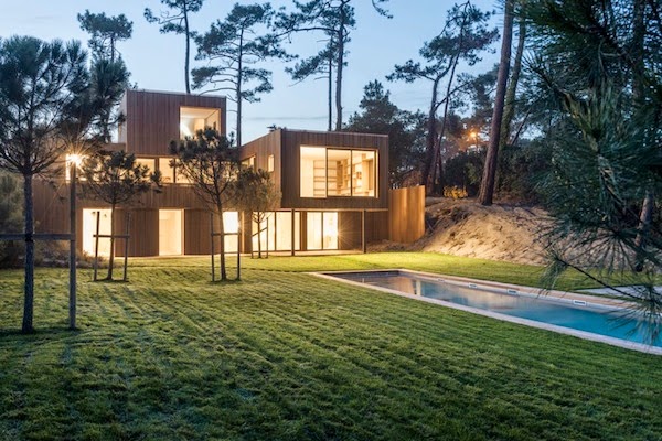 The perfect replica of the pine wood