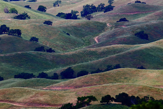 Coyote Lake County Park