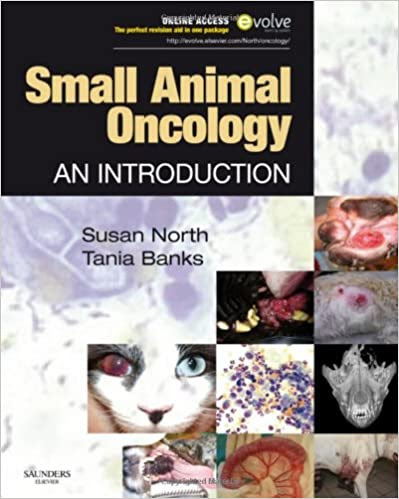 Small Animal Oncology, 1st Edition