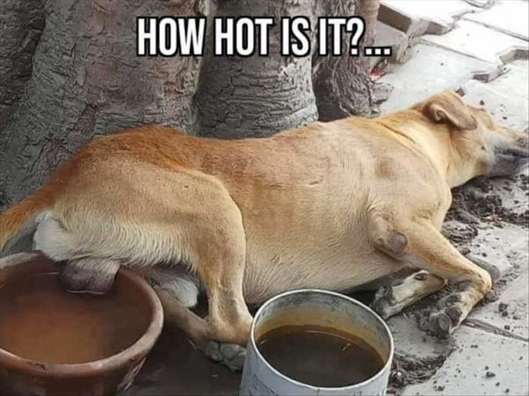 when-its-hot-outside.jpg