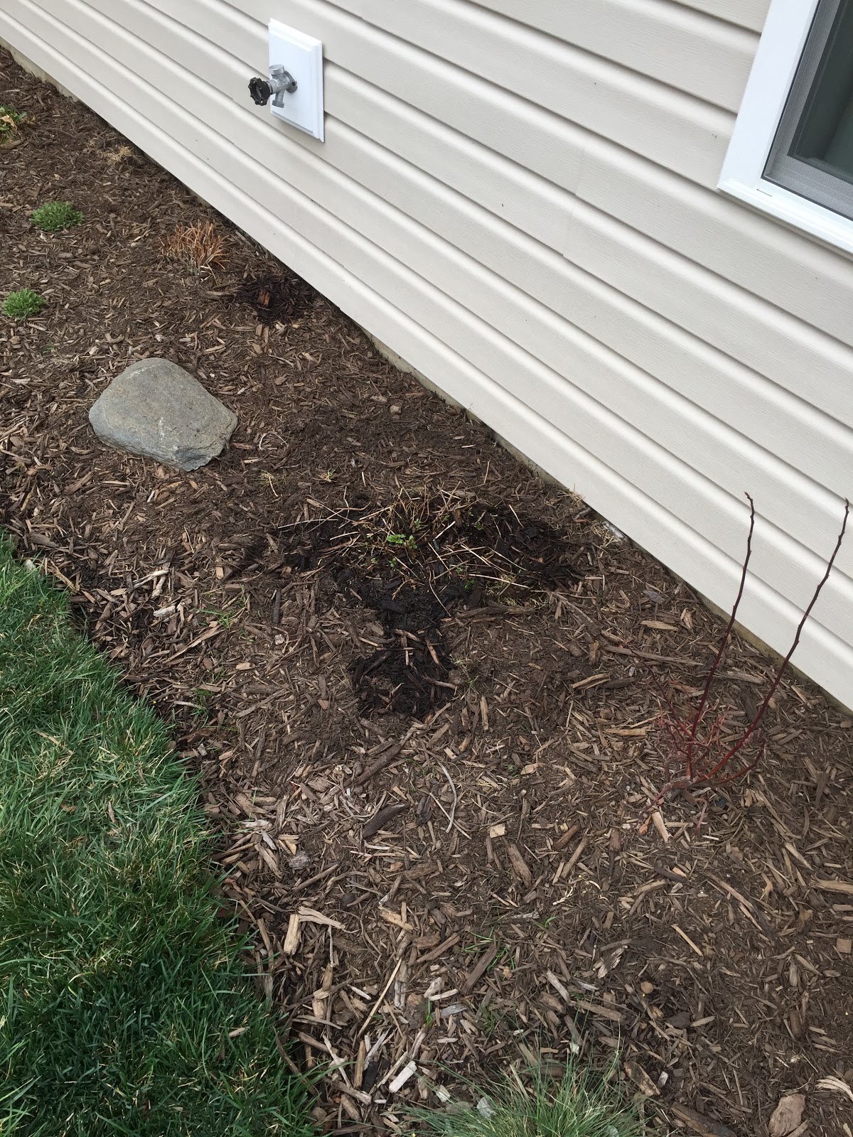 Raising the Wet Shade Bed [Backyard Neophyte Landscaping Blog]